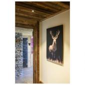  NEW TRIAr UNIVERSAL 68, spot e 