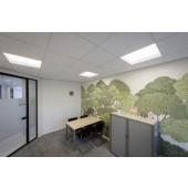  PANEL V DALI 625, 34W 830/840 