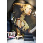  LALUr, suspension LED, int�rie 