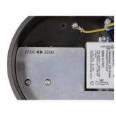  QUIMERA, suspension, intrieur 