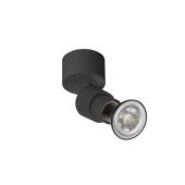  PURI 2.0 Basic, applique et pl 