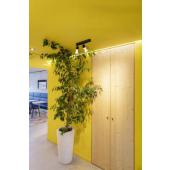  PURI 2.0 Basic, applique plafo 