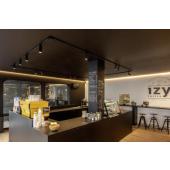  HELIA 50 TRACK, spot pour rail 