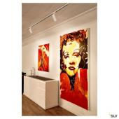  HELIA 50 TRACK, spot pour rail 