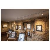  HELIA 50 TRACK, spot pour rail 