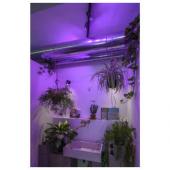  ENOLA B spot 1, applique et pl 