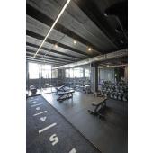  KARPO GOOSE applique liseuse n 