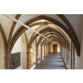  HELIA 50 TRACK, spot rail 3 al 