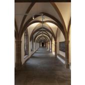  HELIA 50 TRACK, spot rail 3 al 