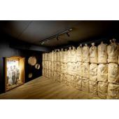  HELIA 50 TRACK, spot rail 3 al 