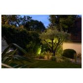  NAUTILUS 15 (NAUTILUS PIQUET X 