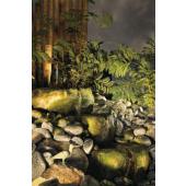  BIG NAUTILUS, projecteur ext�r 