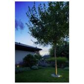  DASAR FLAT 80, encastr de sol 