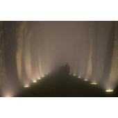  DASAR 215, QPAR111, encastr� d 