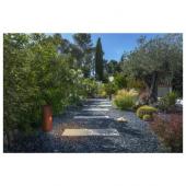  RUSTYr SLOT 50, borne extrieu 