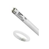  "Lampes sp�ciales Anti insecte 