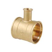  "T� porte-thermom�tre 2''FF 1/ 