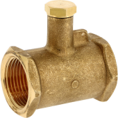  "T� 3/4""FF avec Prise de Sond 