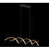  TRIO, Suspension, Sequence,inc 