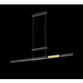  TRIO, Suspension, Trajan,incl. 