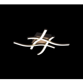  Reality, Plafonnier, Route,inc 