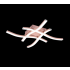  Reality, Plafonnier, Route,inc 