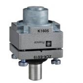  ZCKE - tte inter posi - pouss 