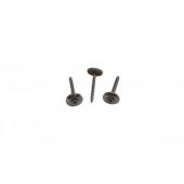  Vis inox long.45mm Torx 