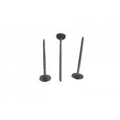  Vis inox long.100mm Torx 