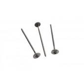  Vis inox long.120mm Torx 