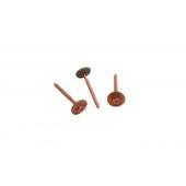  Vis inox cuivr� long.60mm Torx 