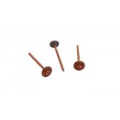  Vis inox cuivr� long.80mm Torx 