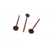  Vis inox cuivr long.100mm Tor 