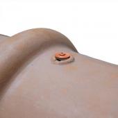  Vis inox cuivr long.100mm Tor 