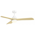  Ventilateur plafond silencieux 