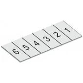  Bandes de marquage coup� sur l 