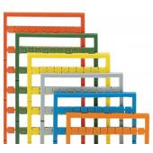  Carte vierge Mini-WSB de 100 r 