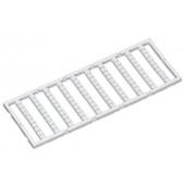  Carte vierge Mini-WSB de 100 r 