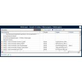  Licence e!COCKPIT Static Analy 