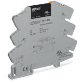  Module avec relais statique 24 