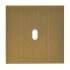  Plaque de finition 1 levier - 