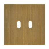  Plaque de finition 2 leviers - 