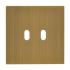  Plaque de finition 2 leviers - 