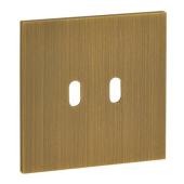  Plaque de finition 2 leviers - 