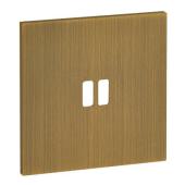  Plaque de finition 1 Poste pou 