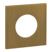  Plaque de finition Prise 2P+T 