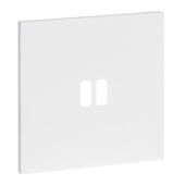  Plaque de finition 1 Poste pou 