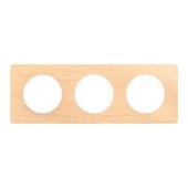  Plaque de finition � clipser C 