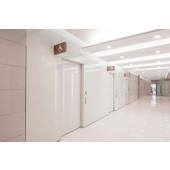  Collerette Ledinaire SlimDownl 