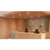  Collerette Ledinaire Spot All 